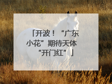 开波！“广东小花”期待天体“开门红”