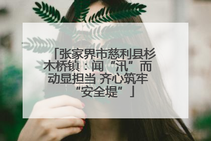 张家界市慈利县杉木桥镇：闻“汛”而动显担当 齐心筑牢“安全堤”