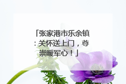 张家港市乐余镇：关怀送上门，尊崇暖军心！