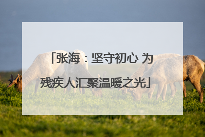 张海：坚守初心 为残疾人汇聚温暖之光