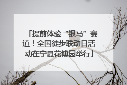 提前体验“银马”赛道！全国徒步联动日活动在宁夏花博园举行