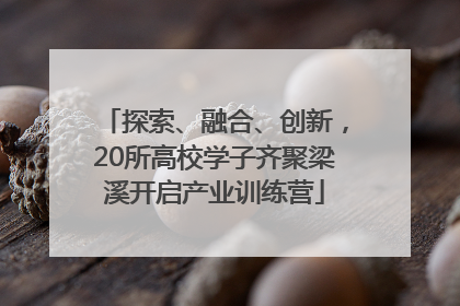 探索、融合、创新，20所高校学子齐聚梁溪开启产业训练营