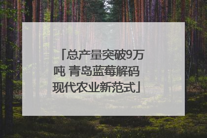 总产量突破9万吨 青岛蓝莓解码现代农业新范式