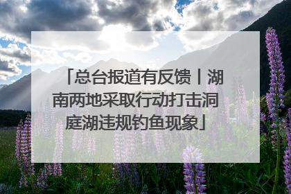总台报道有反馈丨湖南两地采取行动打击洞庭湖违规钓鱼现象