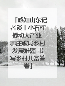感知山东记者谈丨小石榴撬动大产业 枣庄破局乡村发展难题 书写乡村共富答卷
