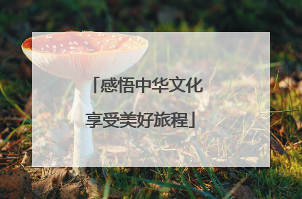 感悟中华文化 享受美好旅程