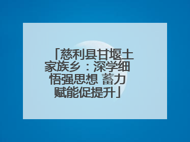 慈利县甘堰土家族乡：深学细悟强思想 蓄力赋能促提升