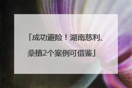 成功避险！湖南慈利、桑植2个案例可借鉴