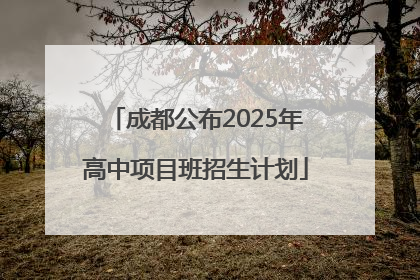 成都公布2025年高中项目班招生计划