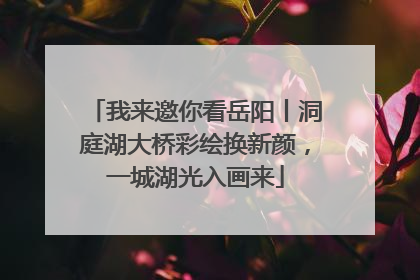 我来邀你看岳阳丨洞庭湖大桥彩绘换新颜，一城湖光入画来