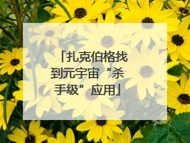 扎克伯格找到元宇宙“杀手级”应用