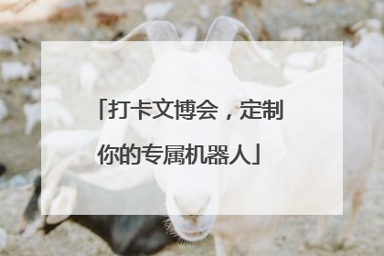 打卡文博会，定制你的专属机器人