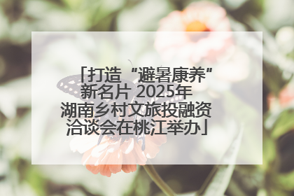 打造“避暑康养”新名片 2025年湖南乡村文旅投融资洽谈会在桃江举办