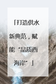 打造供水新典范，赋能“品质西海岸”