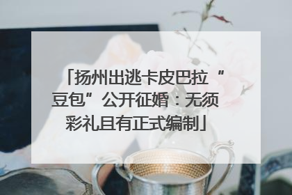 扬州出逃卡皮巴拉“豆包”公开征婚：无须彩礼且有正式编制