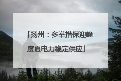 扬州：多举措保迎峰度夏电力稳定供应
