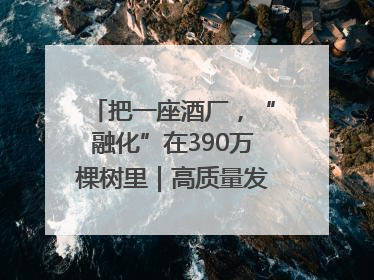 把一座酒厂，“融化”在390万棵树里｜高质量发展看川酒｜舍得酒｜舍得酒业｜舍得老酒｜沱牌酒