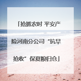 抢抓农时 平安产险河南分公司“抗旱抢收”保夏粮归仓