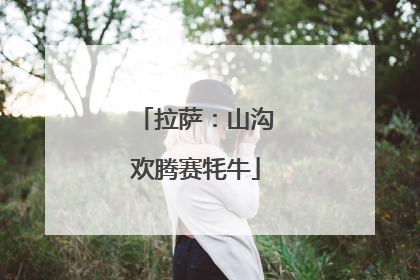 拉萨：山沟欢腾赛牦牛
