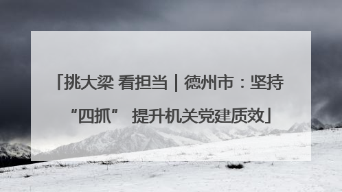 挑大梁 看担当｜德州市：坚持“四抓” 提升机关党建质效