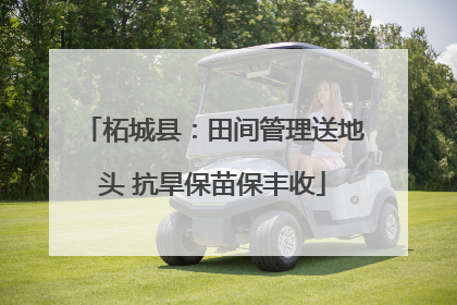 柘城县：田间管理送地头 抗旱保苗保丰收