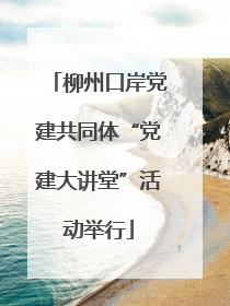 柳州口岸党建共同体“党建大讲堂”活动举行
