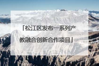 松江区发布一系列产教融合创新合作项目