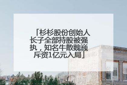 杉杉股份创始人长子全部持股被强执，知名牛散魏巍斥资1亿元入局