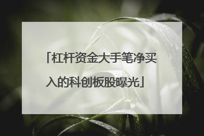 杠杆资金大手笔净买入的科创板股曝光