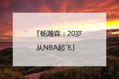 杨瀚森：20岁从NBA起飞