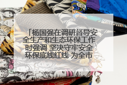 杨国强在调研督导安全生产和生态环保工作时强调 坚决守牢安全环保底线红线 为全市经济社会高质量发展提供坚强保障