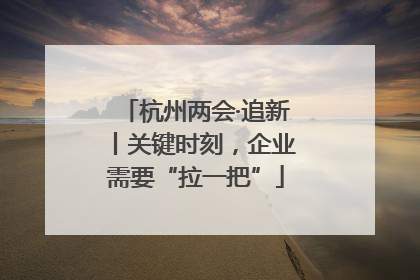 杭州两会·追新丨关键时刻，企业需要“拉一把”