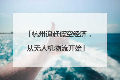 杭州追赶低空经济，从无人机物流开始