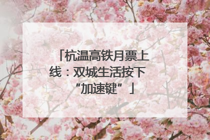 杭温高铁月票上线：双城生活按下“加速键”