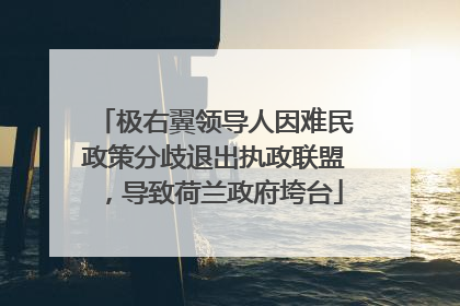 极右翼领导人因难民政策分歧退出执政联盟，导致荷兰政府垮台