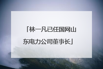 林一凡已任国网山东电力公司董事长