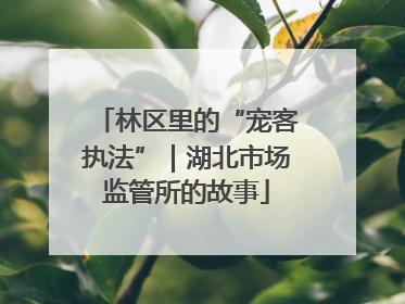林区里的“宠客执法”｜湖北市场监管所的故事