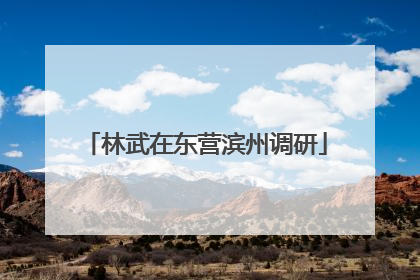 林武在东营滨州调研