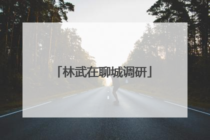 林武在聊城调研