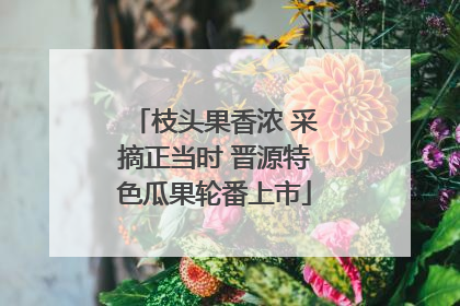 枝头果香浓 采摘正当时 晋源特色瓜果轮番上市