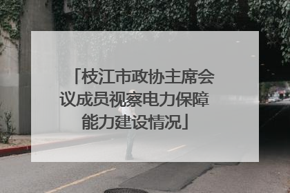 枝江市政协主席会议成员视察电力保障能力建设情况