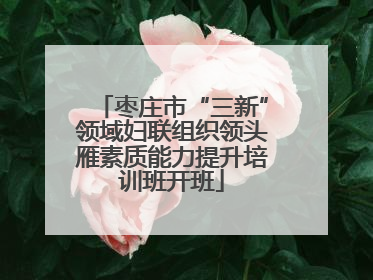 枣庄市“三新”领域妇联组织领头雁素质能力提升培训班开班
