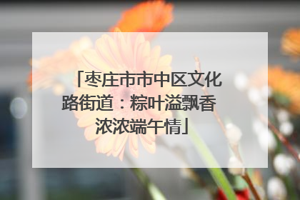 枣庄市市中区文化路街道：粽叶溢飘香 浓浓端午情
