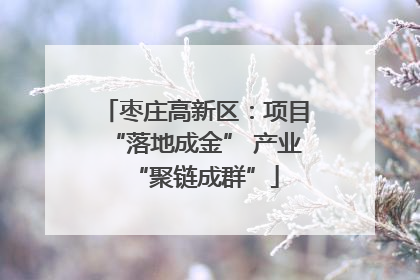 枣庄高新区：项目“落地成金” 产业“聚链成群”