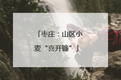 枣庄：山区小麦“喜开镰”