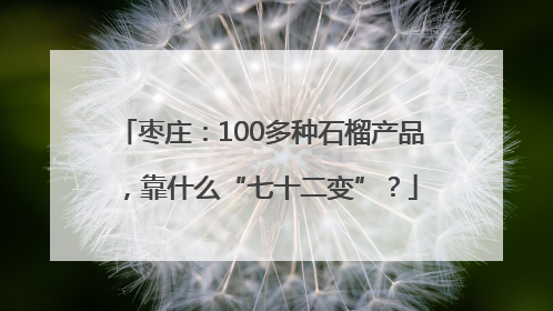 枣庄：100多种石榴产品，靠什么“七十二变”？