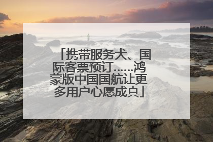 携带服务犬、国际客票预订……鸿蒙版中国国航让更多用户心愿成真