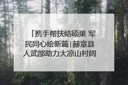 携手帮扶结硕果 军民同心绘新篇∣赫章县人武部助力大凉山村阔步乡村振兴路