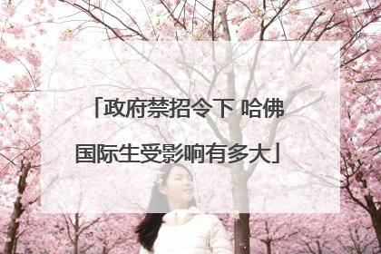 政府禁招令下 哈佛国际生受影响有多大