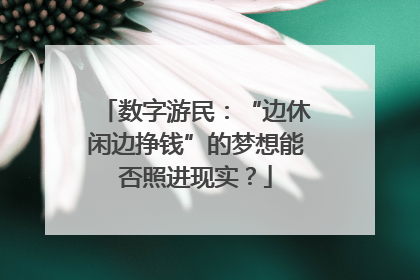 数字游民：“边休闲边挣钱”的梦想能否照进现实？